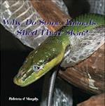 Why Do Some Animals Shed Their