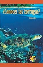 Conoces Las Tortugas