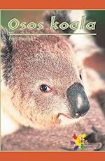 Osos Koala