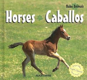 Horses / Caballos