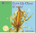 Corn Up Close / El Maiz