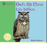 Owls Up Close/Los Buhos