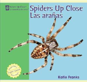 Spiders Up Close / Las Aranas