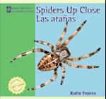 Spiders Up Close / Las Aranas