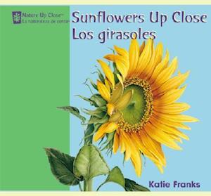 Sunflowers Up Close/Los Girasoles