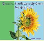 Sunflowers Up Close/Los Girasoles