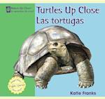 Turtles Up Close / Las Tortugas