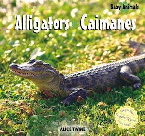 Alligators/Caimanes