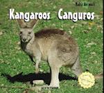 Kangaroos/Canguros