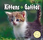 Kittens / Gatitos