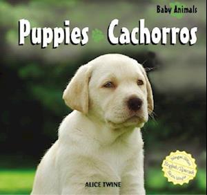 Puppies/Cachorros