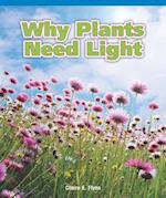 Why Plants Need Light