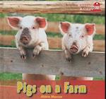 Pigs on a Farm