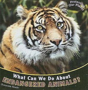 What Can We Do about Endangered Animals?