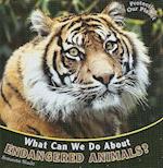 What Can We Do about Endangered Animals?