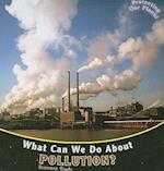 What Can We Do about Pollution?