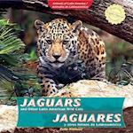 Jaguars and Other Latin American Wild Cats =