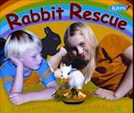 Gear Up, Rabbit Rescue, Grade 2, Single Copy