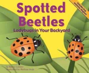 Spotted Beetles