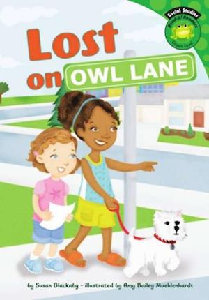 Lost on Owl Lane