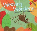 Weaving Wonders