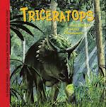 Triceratops and Other Forest Dinosaurs