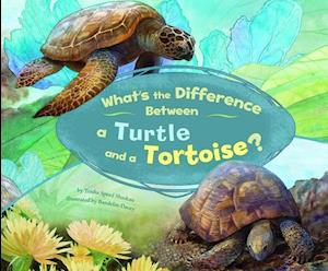 What's the Difference Between a Turtle and a Tortoise?