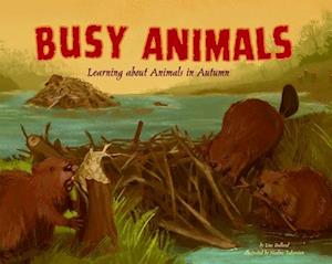 Busy Animals