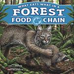 What Eats What in a Forest Food Chain