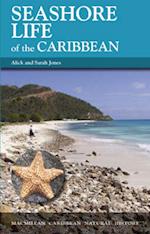 Seashore Life of the Caribbean