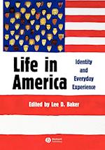 Life In America: Identity and Everyday Experience