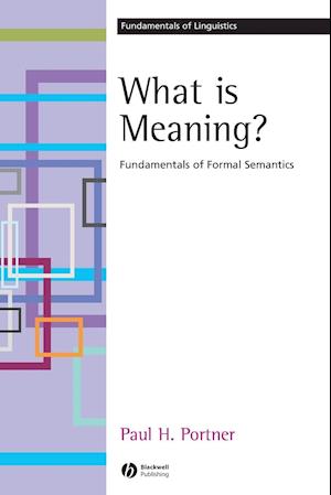 What is Meaning?