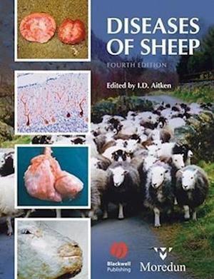 Diseases of Sheep 4e