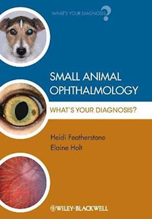 Small Animal Ophthalmology – What's Your Diagnosis?