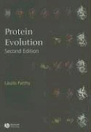 Protein Evolution