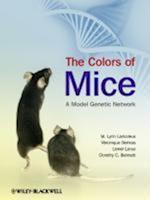 The Colors of Mice – A Model Genetic Network