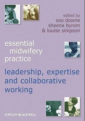 Expertise Leadership and Collaborative Working