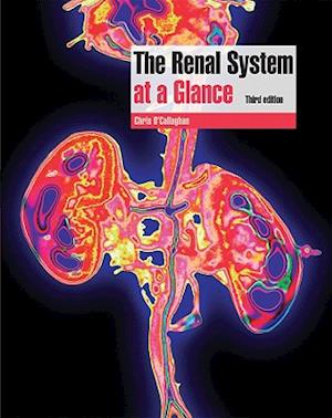 The Renal System at a Glance