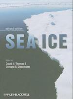 Sea Ice