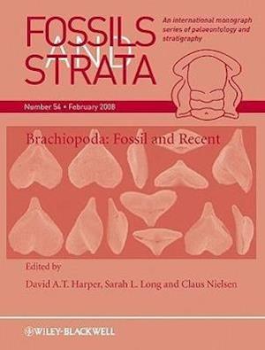 Brachiopoda – Fossil and Recent Fossils and Strata V54