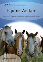 Equine Welfare