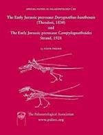 Early Jurassic pterosaur Dorygnathus banthensis (Theodori, 1830) and The Early Jurassic pterosaur Campylognathoides Strand, 1928