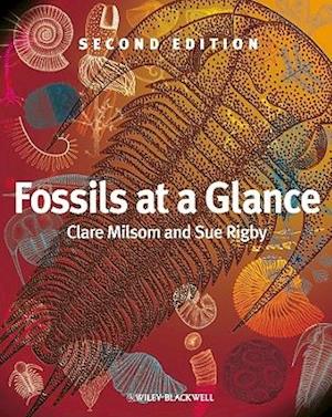 Fossils at a Glance