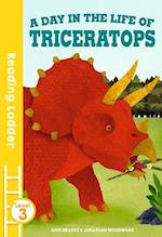 day in the life of Triceratops