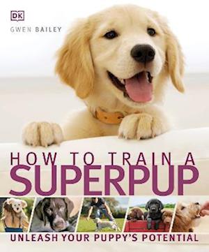 How to Train a Superpup