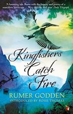 Kingfishers Catch Fire