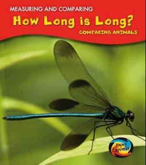 How Long Is Long?