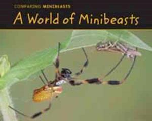 A World of Minibeasts