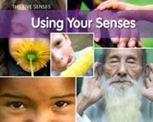 Using Your Senses