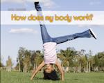 How Does My Body Work?